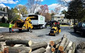 Best Soil Testing and Treatment  in Falls Creek, PA