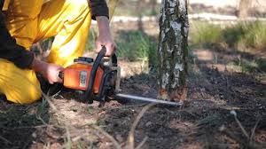 Best Lawn Irrigation Installation and Maintenance  in Falls Creek, PA