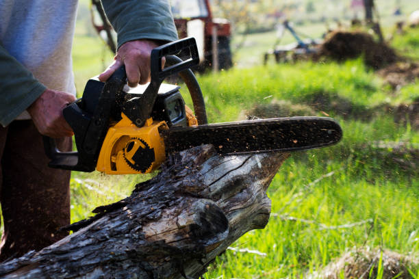 How Our Tree Care Process Works  in  Falls Creek, PA