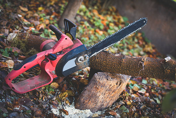 Best Stump Grinding and Removal  in Falls Creek, PA